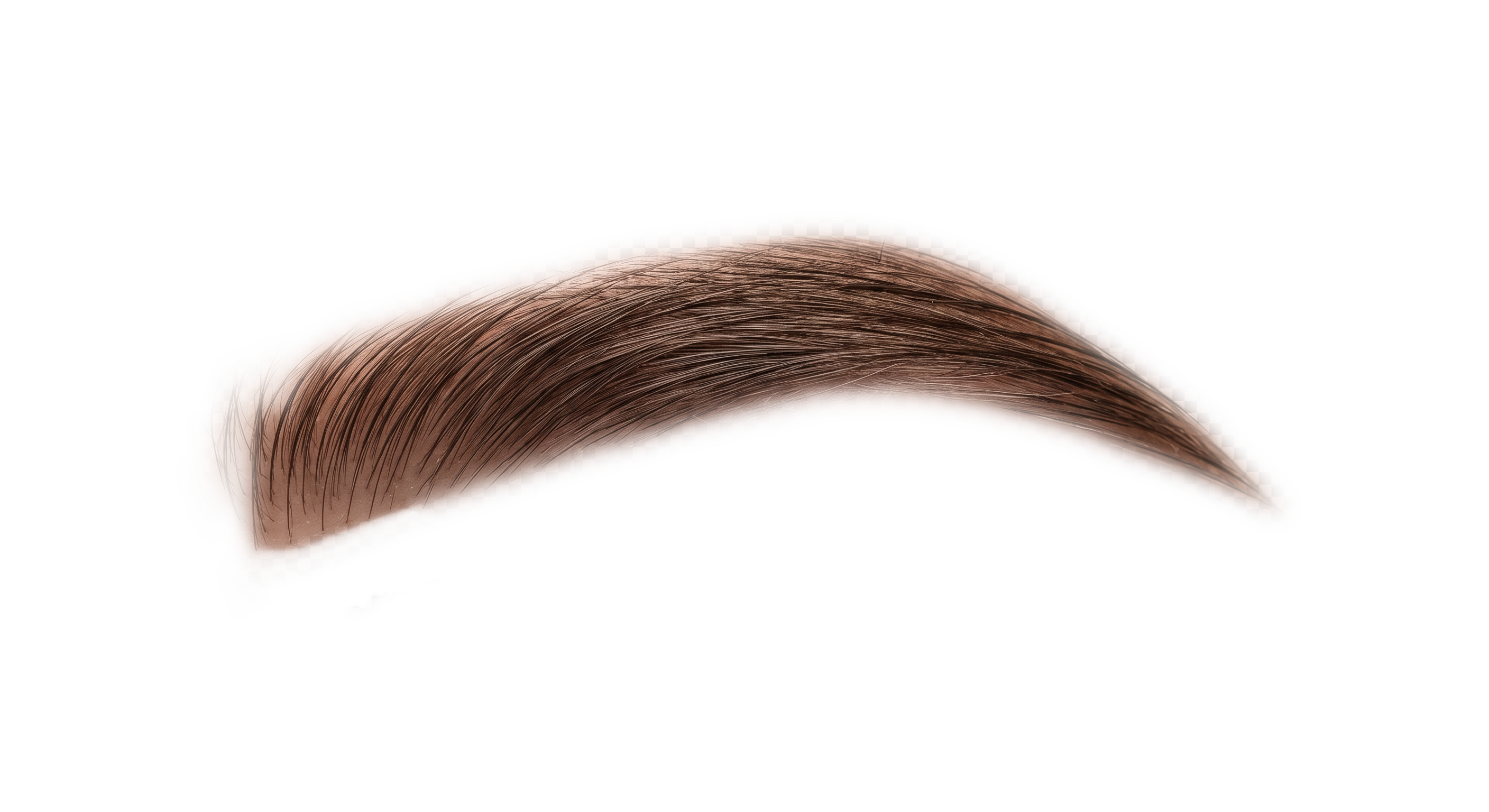 Ceja perfilada de tono castaño
